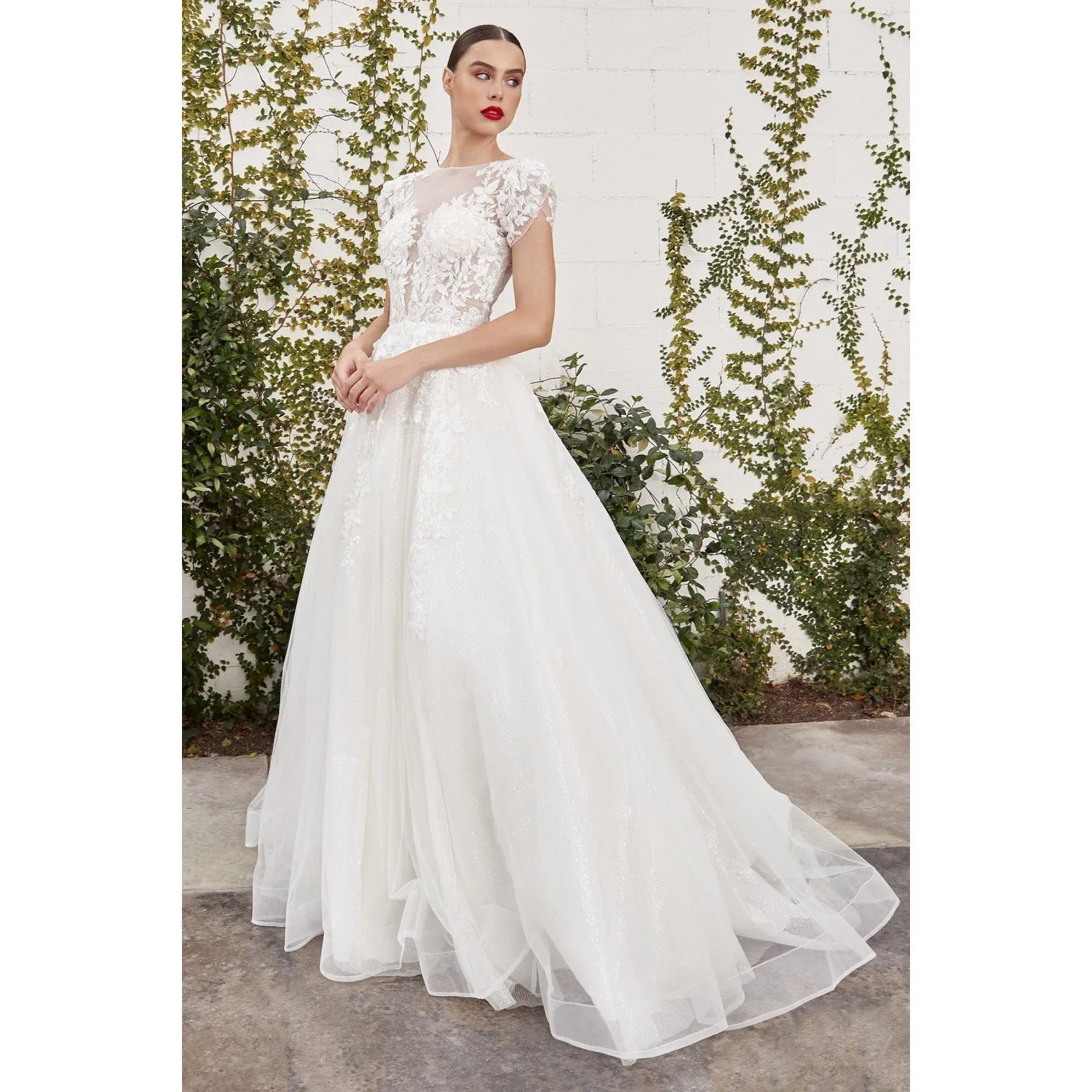 A1082W SOFIAN CAP SLEEVE LACE BALL GOWN